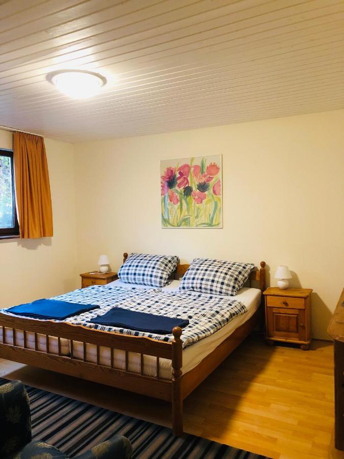 Appartamento Haus Hubertus Willingen  Esterno foto