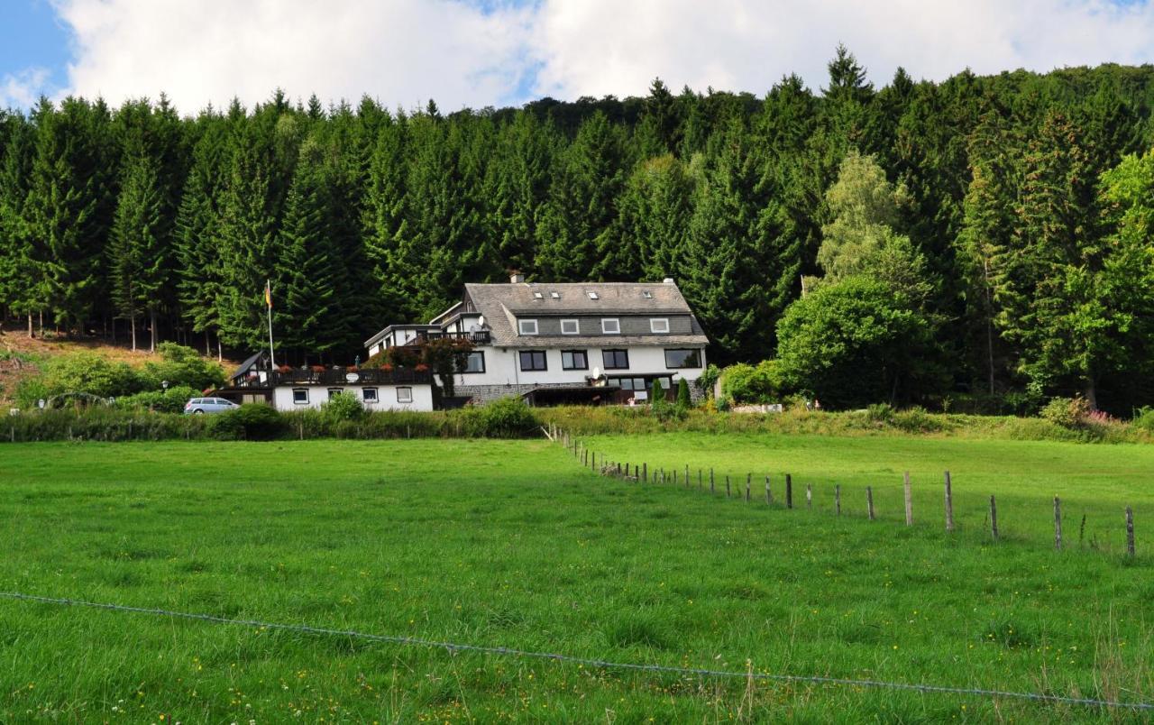 Appartamento Haus Hubertus Willingen  Esterno foto