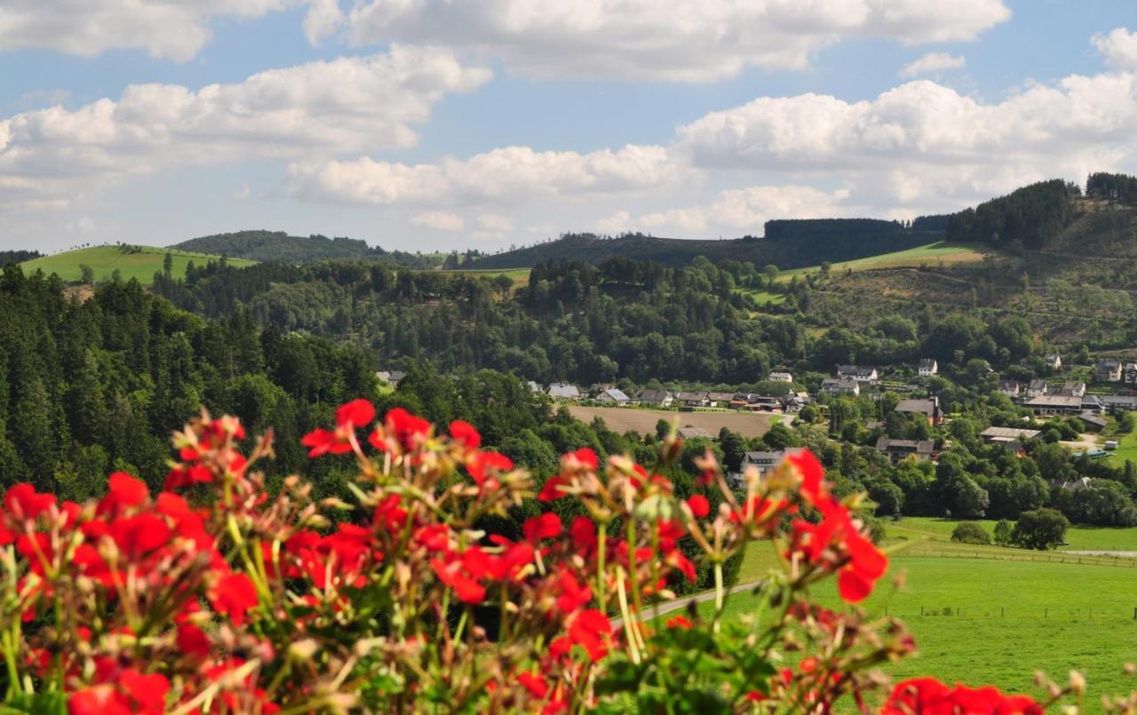 Appartamento Haus Hubertus Willingen  Esterno foto